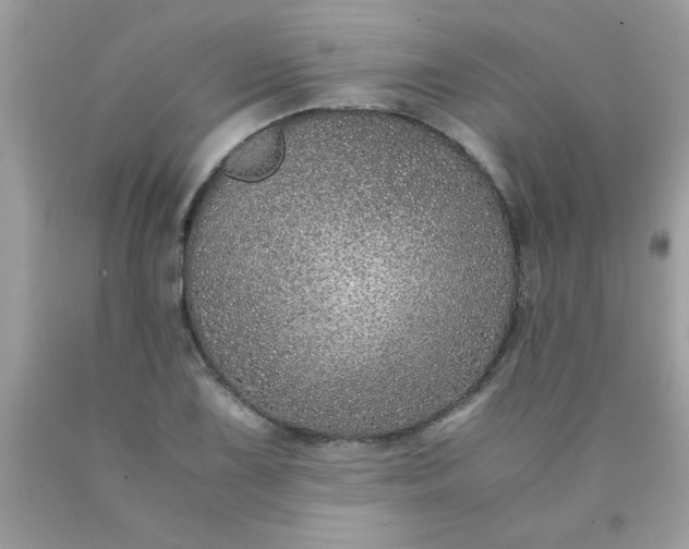 X0000090471075200707272253