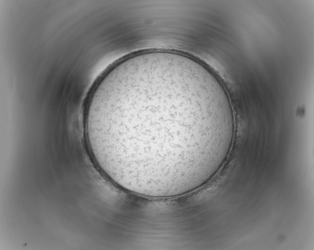 X0000090471078200707272253