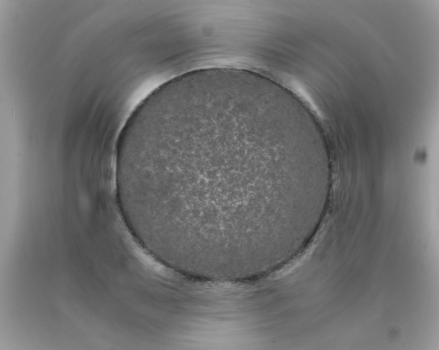 X0000090471079200707272253