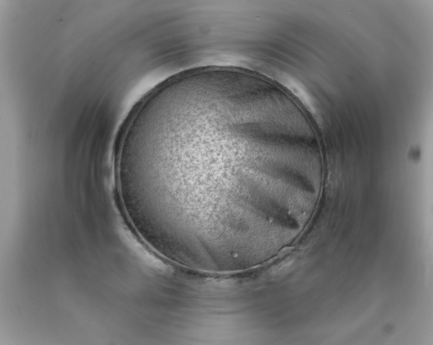 X0000090471080200707272253