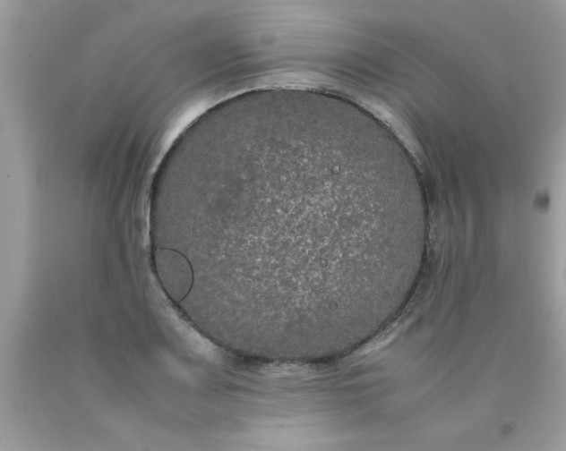 X0000090471083200707272253