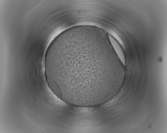 X0000090471084200707272253