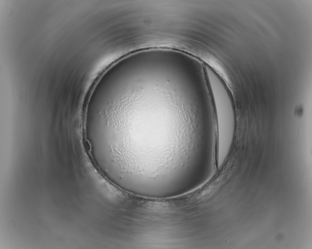 X0000090471088200707272253