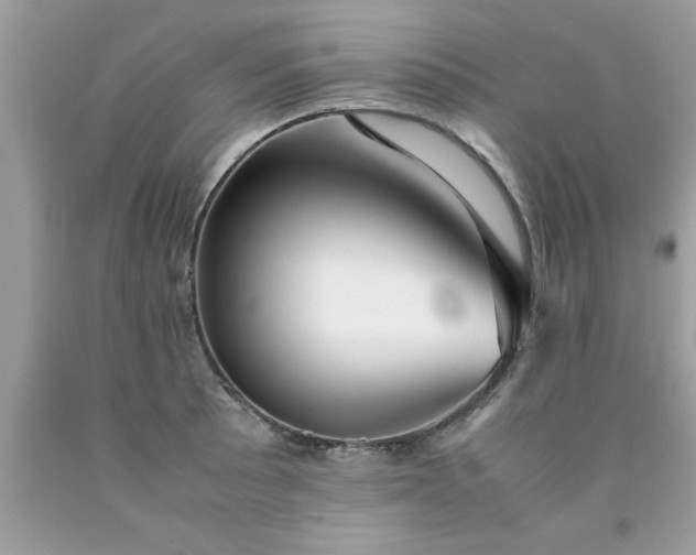 X0000090471089200707272253