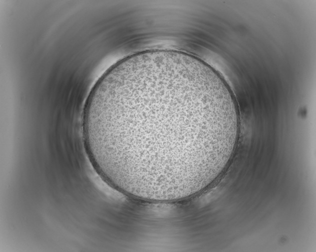 X0000090471090200707272253