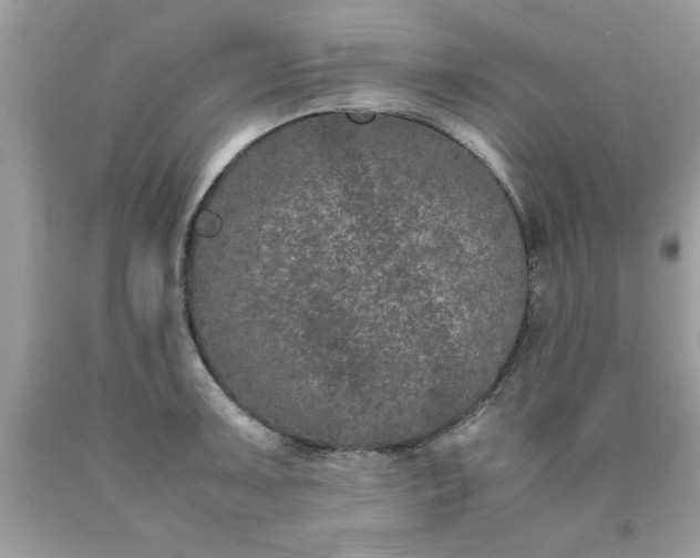 X0000090471091200707272253