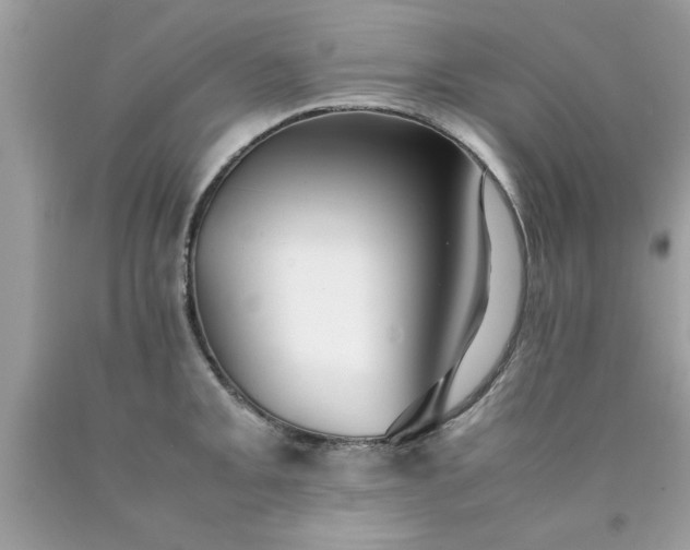 X0000090471093200707272253