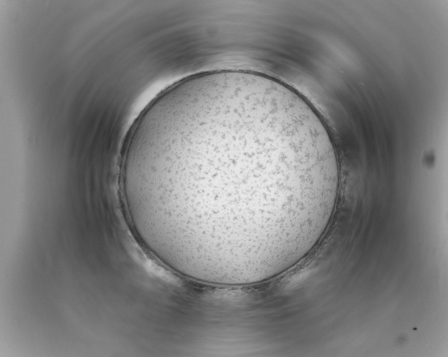 X0000090471094200707272253