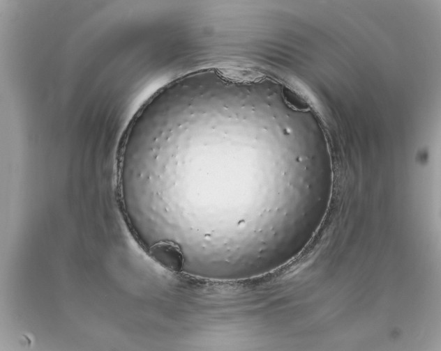 X0000090471095200707272253