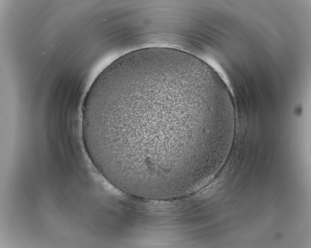 X0000090471096200707272253