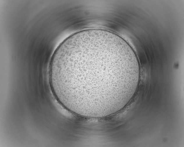 X0000090471098200707272253