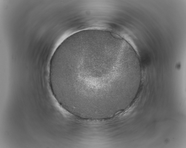 X0000090471099200707272253