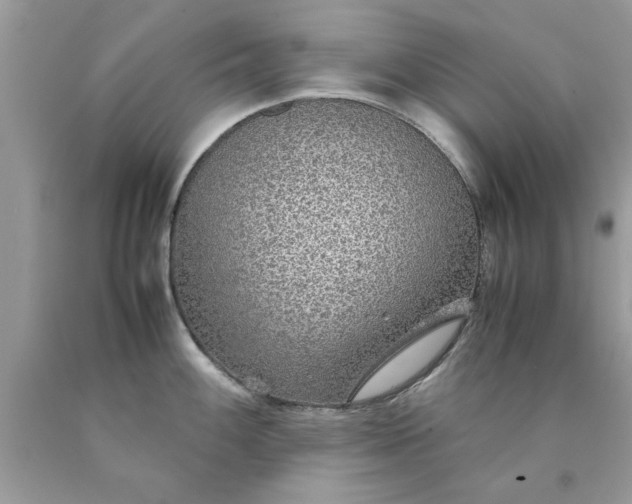 X0000090471100200707272253