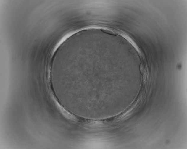 X0000090471101200707272253