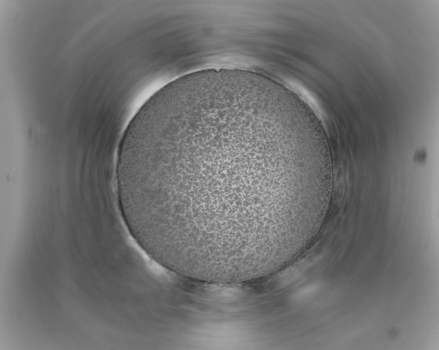 X0000090471103200707272253