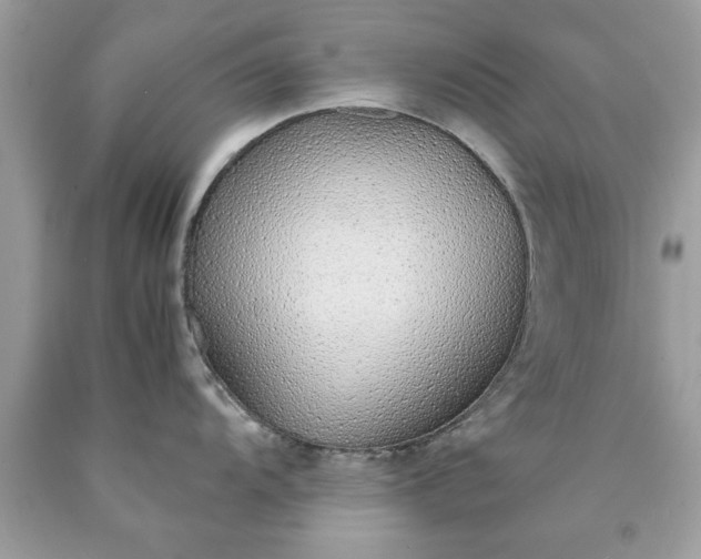 X0000090471104200707272253