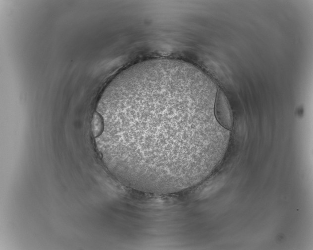 X0000090471105200707272252