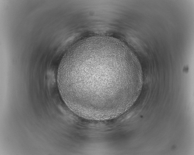 X0000090471106200707272252