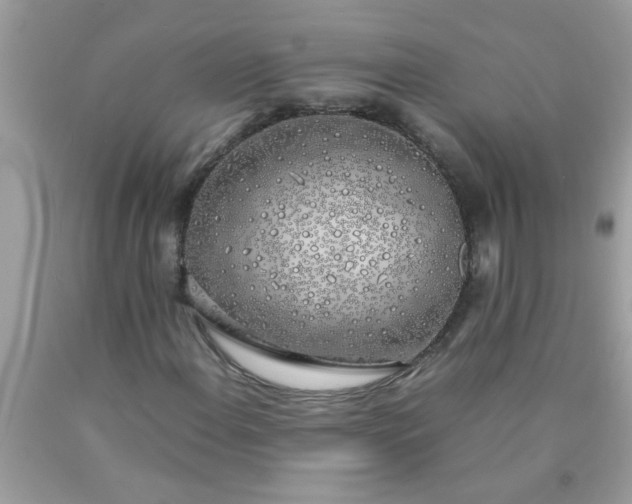 X0000090471108200707272252