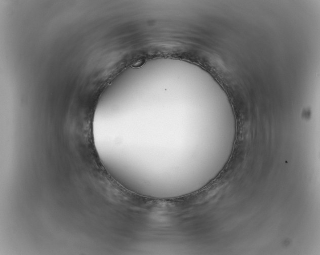 X0000090471109200707272252