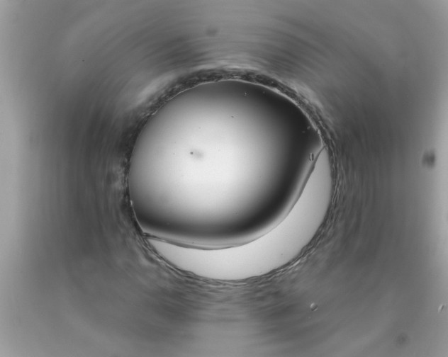 X0000090471110200707272252