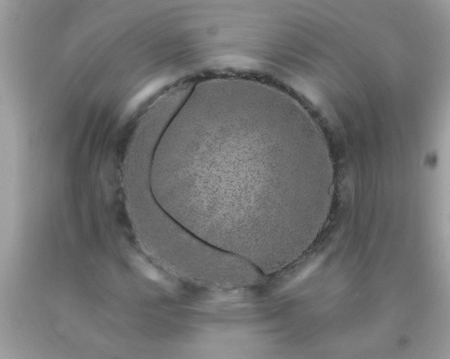 X0000090471112200707272252