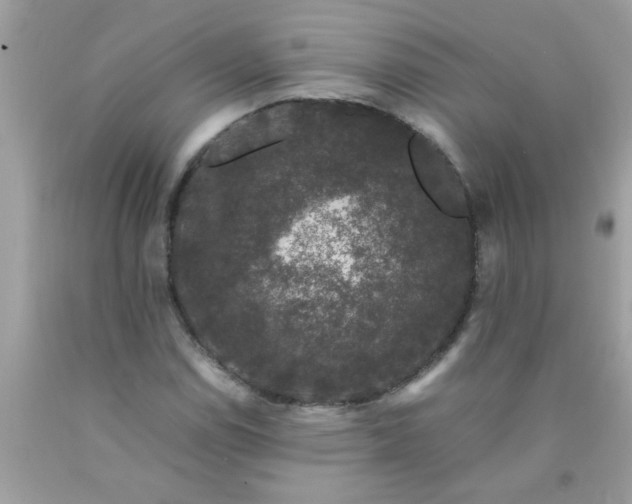 X0000090471114200707272252