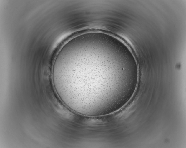 X0000090471115200707272252