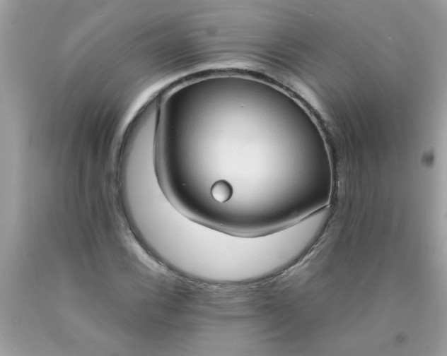 X0000090471116200707272252