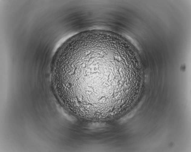 X0000090471117200707272252