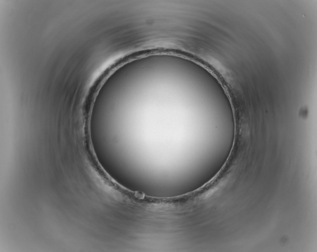 X0000090471118200707272252