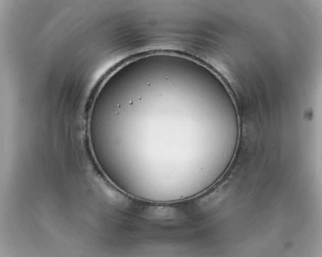 X0000090471119200707272252