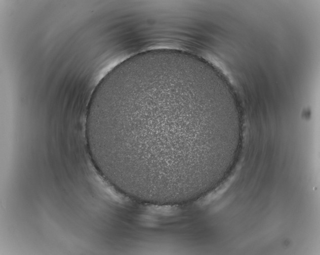 X0000090471121200707272252