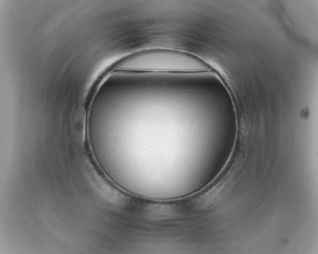 X0000090471123200707272252