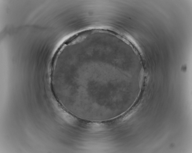 X0000090471124200707272252