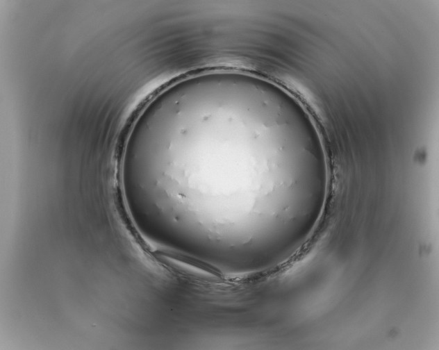 X0000090471125200707272252