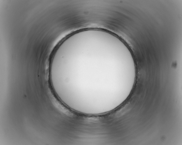 X0000090471126200707272252