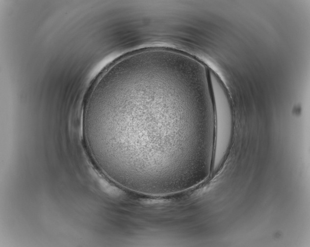 X0000090471127200707272252