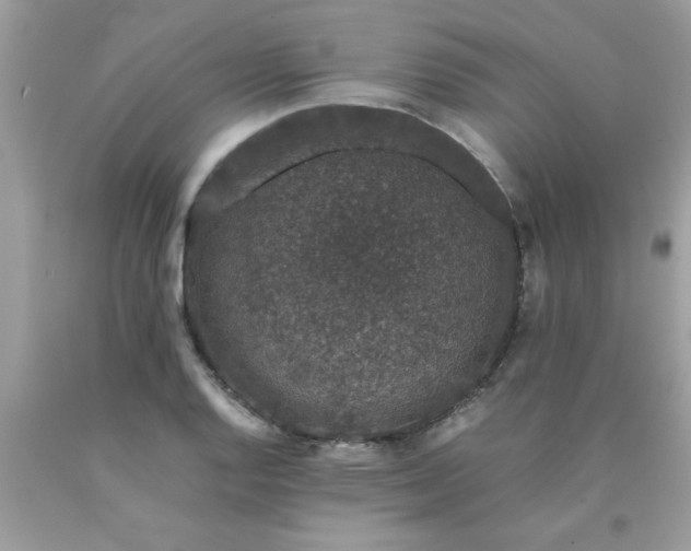 X0000090471128200707272252