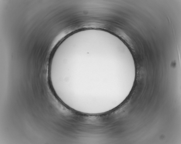 X0000090471130200707272252