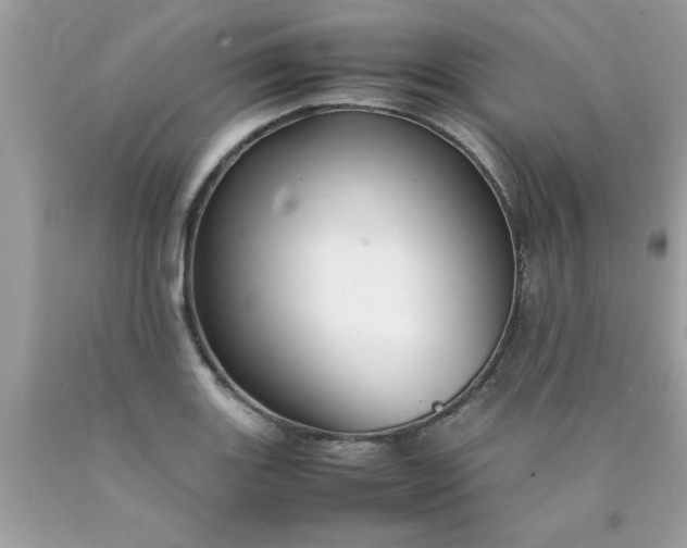 X0000090471131200707272252