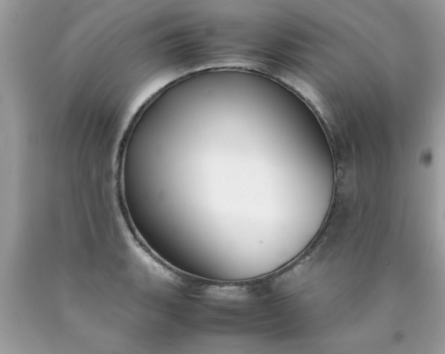 X0000090471135200707272252