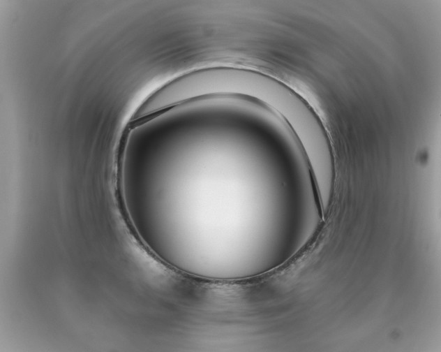 X0000090471136200707272252