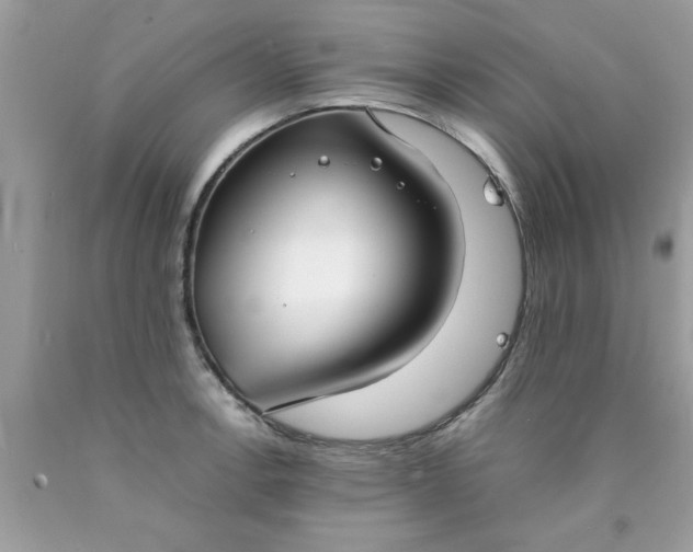 X0000090471138200707272252