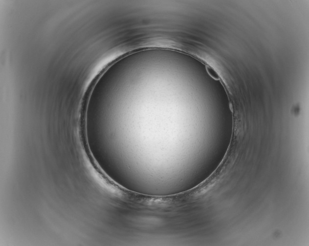 X0000090471139200707272252