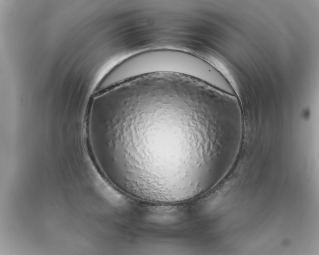 X0000090471141200707272252