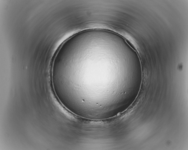 X0000090471142200707272252