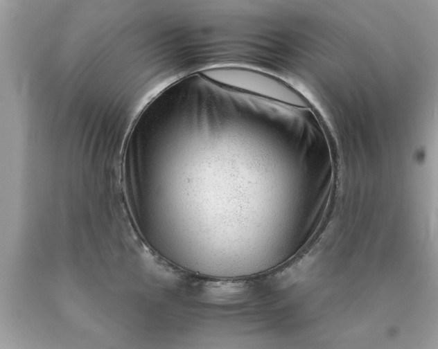 X0000090471145200707272252