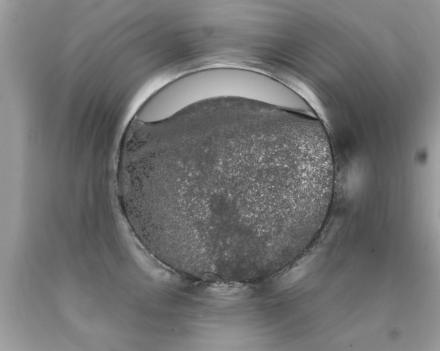 X0000090471146200707272253