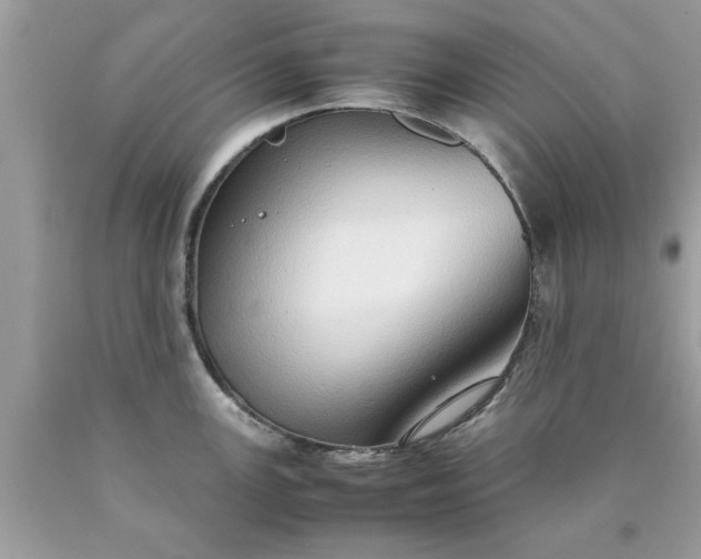 X0000090471147200707272253